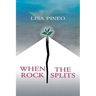When the Rock Splits: A Snapshot of True Events