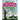 A Walk in the Woods Coloring Book