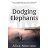 Dodging Elephants: Leaving the rat race for a bike race - 8000 miles across Africa