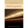 An Advanced Guide to Multilingualism