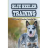 Blue Heeler Training: What You Need To Know About Training Blue Heeler: Blue Heeler Training Commands