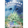 Terpenes: The Magic in Cannabis