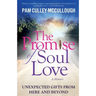 The Promise of Soul Love: Unexpected Gifts From Here and Beyond