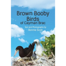 Brown Booby Birds of Cayman Brac