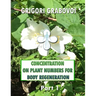 Concentration on Plant Numbers for Body Regeneration