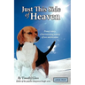 Just This Side of Heaven