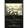 The Criminal Law's Person
