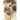 Shattered Hearts: A Heartfelt Coming of Age Teen HighSchool Jock Romance Novel