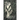 The Ghost of Whispering Willow