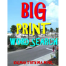 Big Print Word Search: 133 Entertaining Themed Puzzles