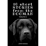 10 Short STORIES from the DOGMAN