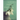 Living into Focus