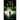 The Eye Thief