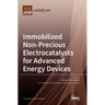 Immobilized Non-Precious Electrocatalysts for Advanced Energy Devices