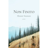 Non Finito