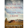 One for the Blackbird, One for the Crow