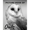 Picture Book of Owls: The Picture Book for Alzheimer's Patients and Seniors with Dementia.