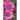 Flower Pressing Book: Pick, Press, Paste Whole Flower, Petals, Leaves, Stem and Other Organic Botanical Pieces