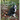 A Dog I Know Called Oreo