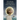 The Angel Knew Papa and the Dog