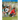 Complete Soccer Coaching Curriculum for 3-18 Year Old Players - Volume 1