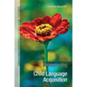 Understanding Child Language Acquisition