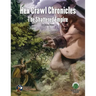 Hex Crawl Chronicles 4: The Shattered Empire - Swords & Wizardry