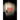 Behind Closed Doors