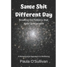 Same Shit Different Day: Breaking the Patterns that Make us Miserable - A metaphysical approach to wellbeing