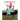 The Red Haired Hare