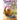 Dragon Gems: Spring 2023