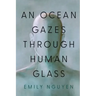 An Ocean Gazes Through Human Glass