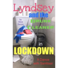 Lyndsey and the Drunk Cleaner in Lockdown: Inspired by experience
