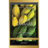 Green Bananas