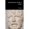 Consolations from a Stoic