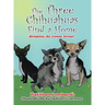 The Three Chihuahuas Find a Home