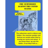 The Subversion Against the United States: The Frankfort School's Subversion Plan to Destroy the United States Is Active. Every Day and Everywhere, The
