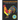 Chickens and Roosters Coloring Book for Adults: Stress-relief Coloring Book For Grown-ups