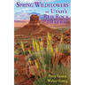 Spring Wildflowers of Utah's Red Rock Desert