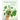 The New Plant Parent: Develop Your Green Thumb and Care for Your House-Plant Family