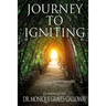 Journey to Igniting