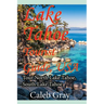 Lake Tahoe Tourist Guide, USA: Tour North Lake Tahoe, South Lake Tahoe