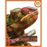 Chameleon