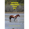 Identifying Chincoteague Ponies 2021
