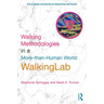 Walking Methodologies in a More-Than-Human World: Walkinglab