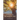 A Glimpse of a Promising Day