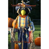 Scintillating Scarecrows