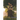 The Old Eve Tree