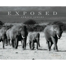 Exposed: Africa Series