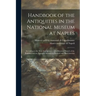 Handbook of the Antiquities in the National Museum at Naples: According to the New Arrangement With Historical Sketch of the Building and on Appendix